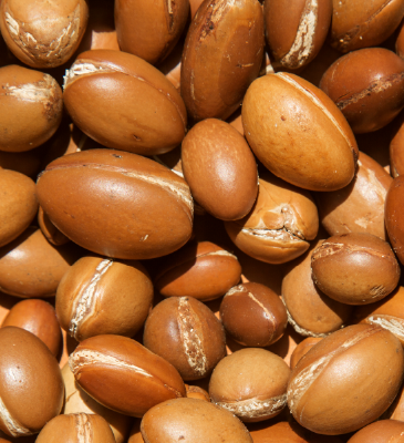 Close-up of argan nuts