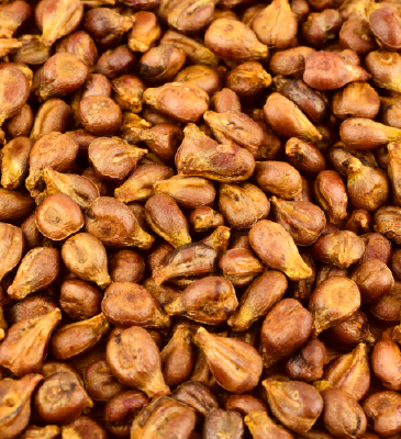 Grape Seed Oil